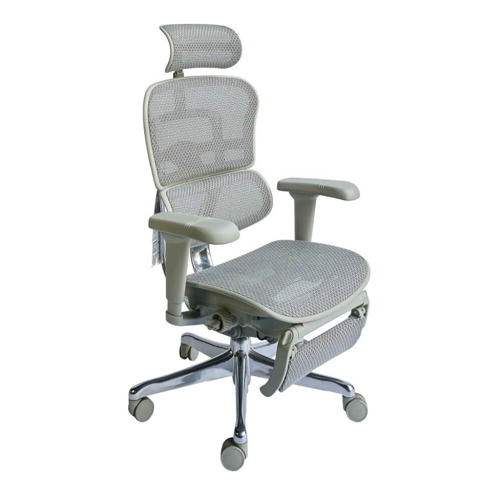 เก้าอี้เพื่อสุขภาพ DF PROCHAIR รุ่น Ergo Elite Ultra Plus สีเทา